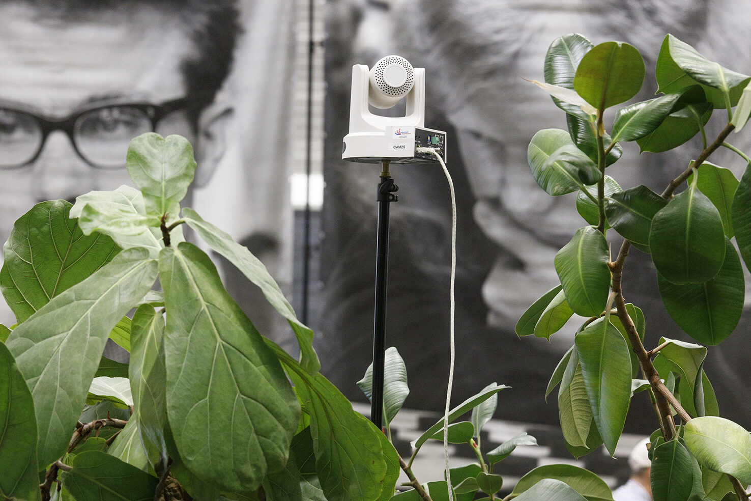 Wildcamera’s . . .